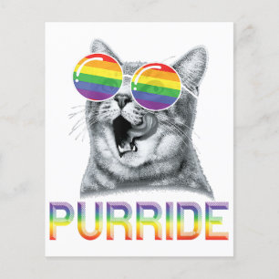 Funny Cat Gay Pride Rainbow Sunglasses LGBTQ