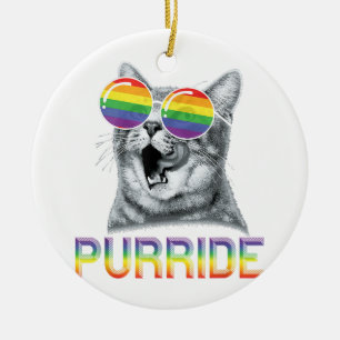 Funny Cat Gay Pride Rainbow Sunglasses LGBTQ Ceramic Ornament