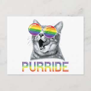 Funny Cat Gay Pride Rainbow Sunglasses LGBTQ  Holiday Postcard