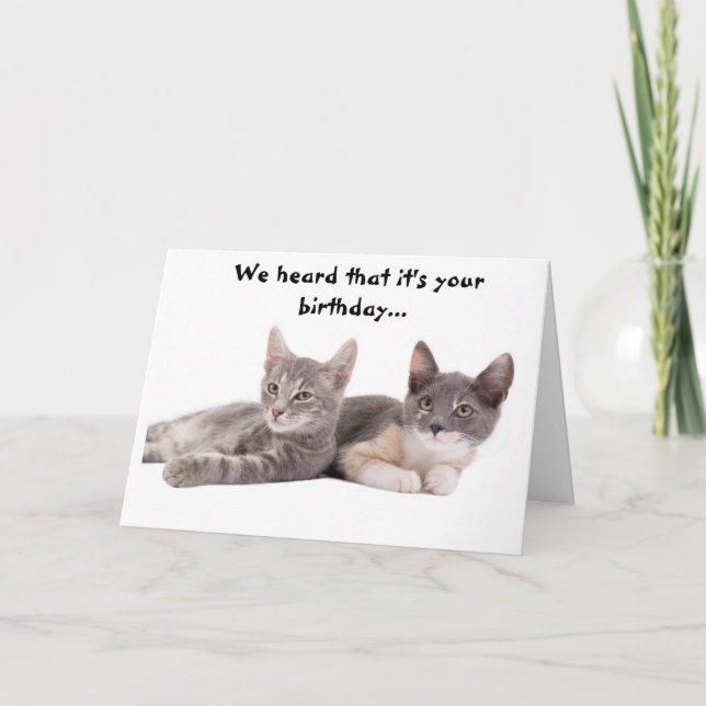 Funny Cat 'Give Us Tuna' Birthday Card (Front)