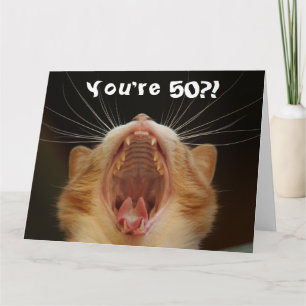 Funny Cat Happy 50th Birthday Card