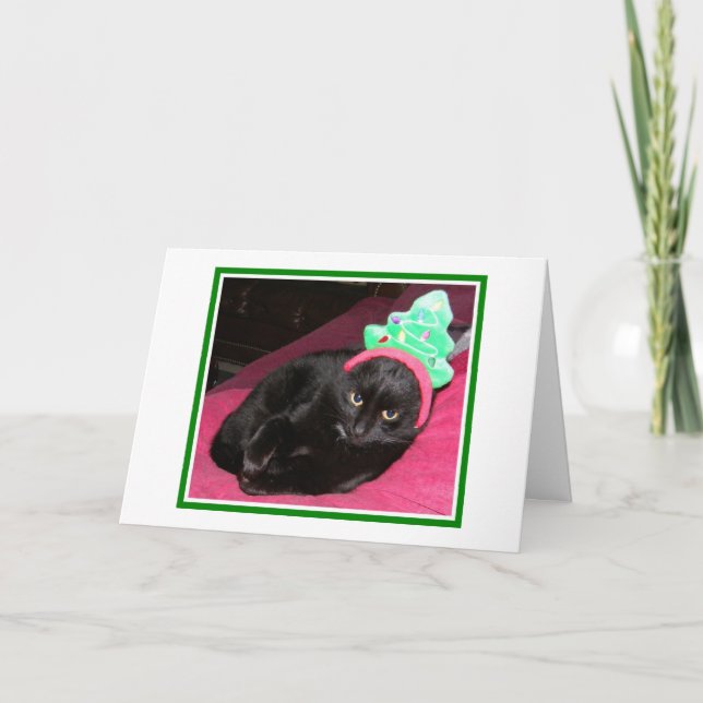 Funny Cat Holiday Christmas Card (Front)