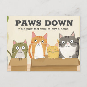 Funny Cat Home Buyer's Real Estate Marketing Postcard