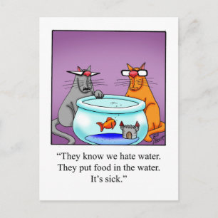 Funny Cat Humour Postcard
