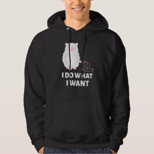 Funny-Cat-I-Do What I-Want Hoodie
