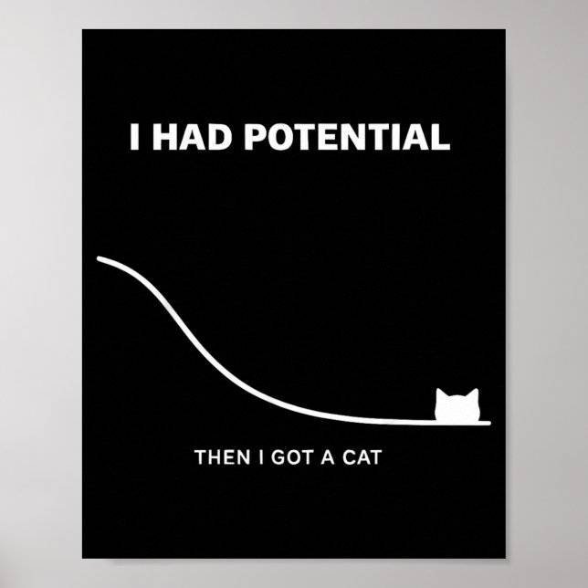Funny Cat I Had Potential Then I Got A Cat Poster (Front)
