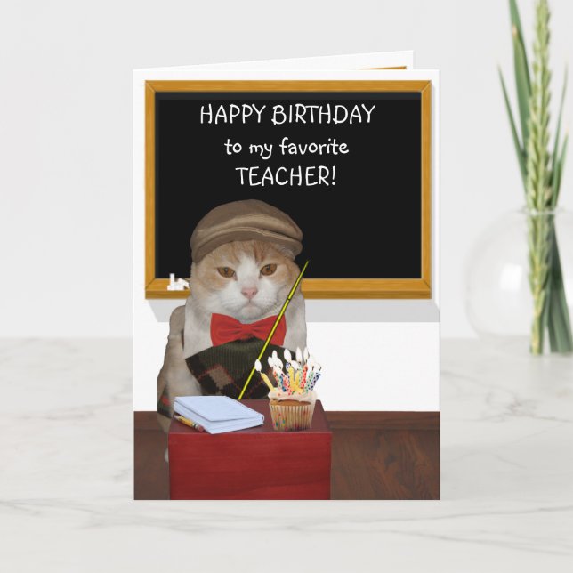 Funny Cat in Argyle Sweater Birthday for Teacher Card (Front)