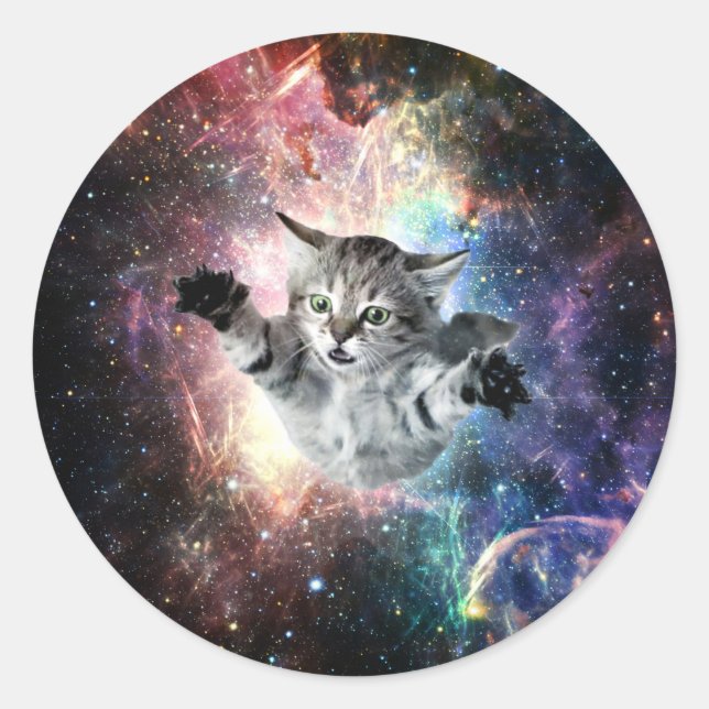 Funny cat in space classic round sticker (Front)