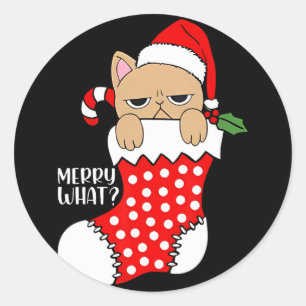 Funny Cat In Stocking Christmas Cat Xmas Classic Round Sticker