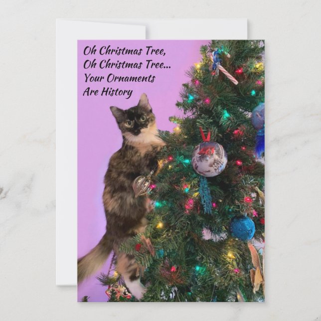 Funny Cat in Tree Eyeing Ornaments Holiday (Front)