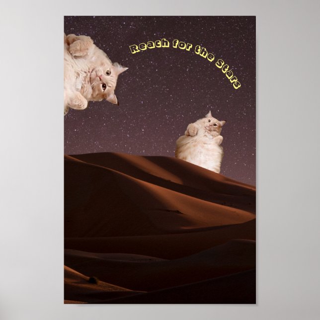 Funny Cat Inspiration Poster (Front)