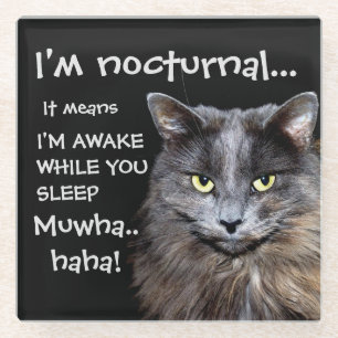 Funny Cat is Nocturnal Evil Laugh Glass Coaster