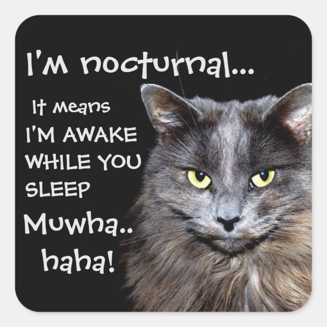 Funny Cat is Nocturnal Evil Laugh  Square Sticker (Front)
