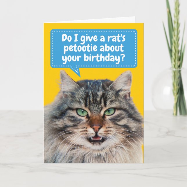Funny Cat-itude Customisable Birthday Greeting Card (Front)