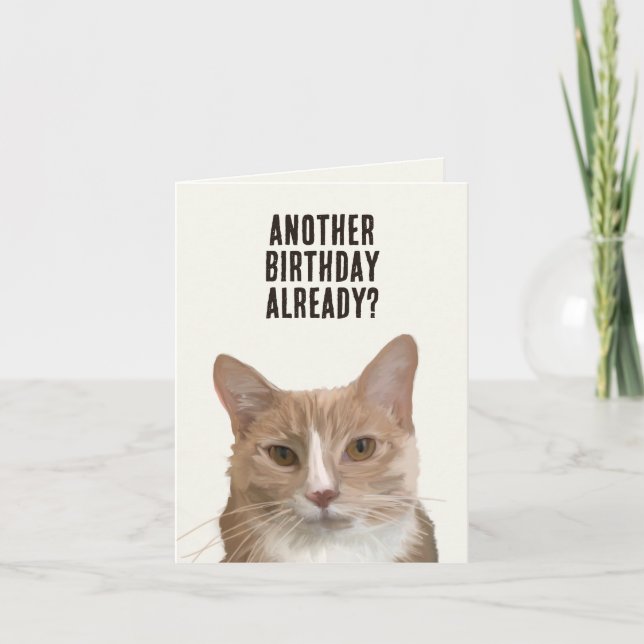 Funny Cat Kitten Me Pun Birthday  Card (Front)