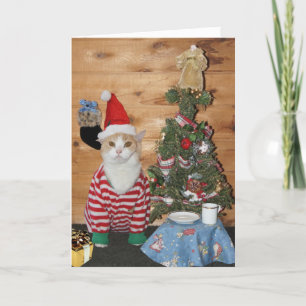 Funny Cat/Kitty Christmas Morning Holiday Card