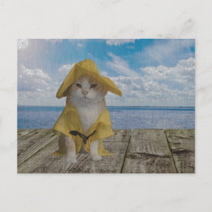 Funny Cat/Kitty in Yellow Slicker Postcard