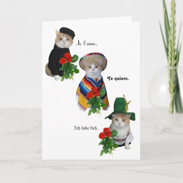 Funny Cat/Kitty Love in Four Languages Valentine Holiday Card (Front)
