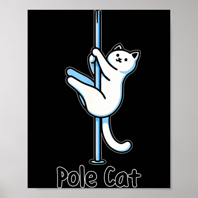 Funny Cat Le Dancing Or Is It A Lecat Wordplay Jok Poster (Front)