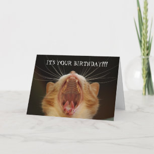 Funny Cat Lover Catty Birthday Card