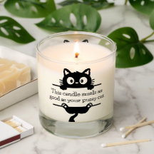 Funny Cat Lover | Cute Scented Gift | Humour