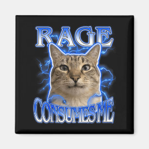 Funny Cat Lover Funny Silly Staring Cat Meme Women Magnet