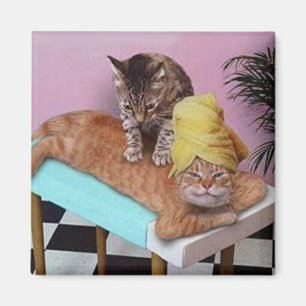Funny Cat Massage Magnet