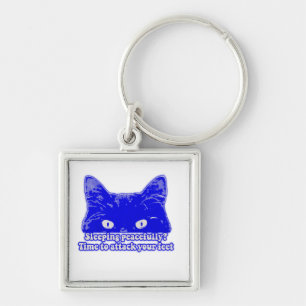 Funny cat meme for kitten owners and lovers key ring