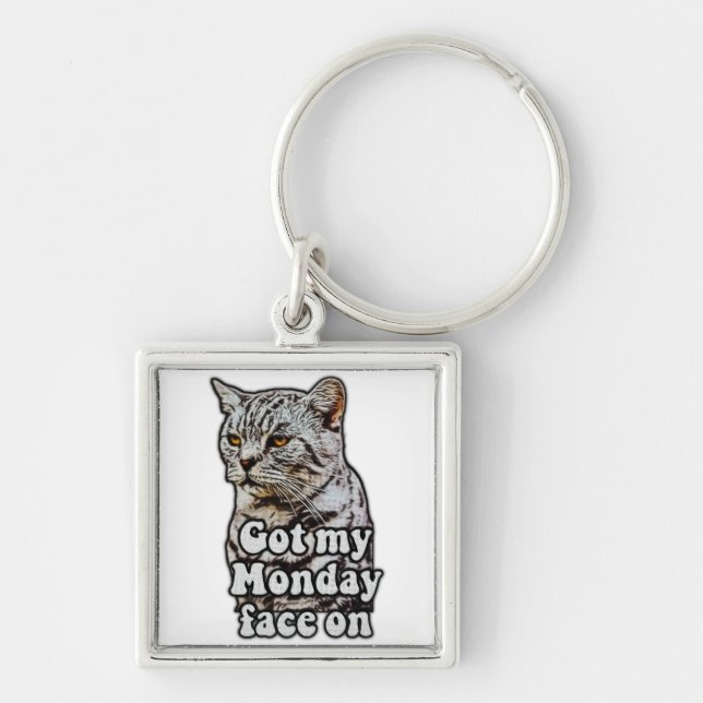 Funny cat meme for kitty owners and cat lovers key ring (Front)