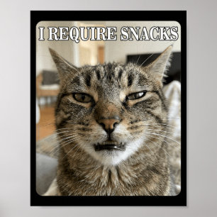 Funny Cat Meme Funny Require Snacks Design Men Poster