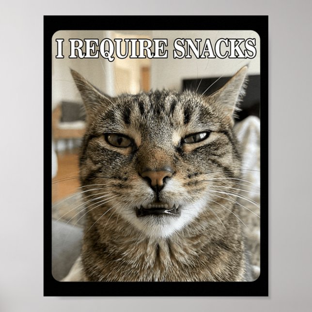 Funny Cat Meme Funny Require Snacks Design Men Poster (Front)