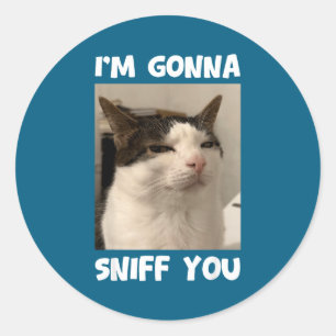 Funny Cat Meme I'm Gonna Sniff You Weird Humor Classic Round Sticker