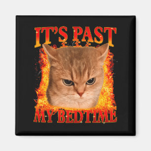 Funny cat meme past bedtime men women kids teen magnet