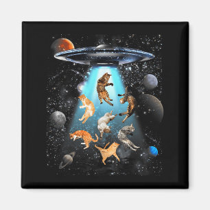 Funny Cat Men Women Graphic For Men Women Kids  Magnet