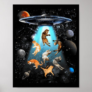 Funny Cat Men Women Graphic For Men Women Kids  Poster