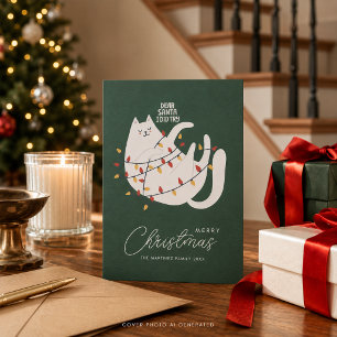 Funny Cat Merry Christmas Greeting Holiday Card