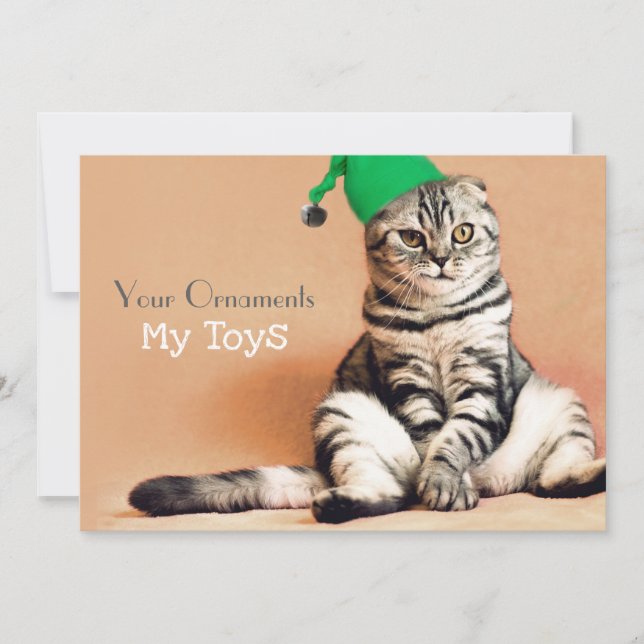 Funny Cat Merry Christmas Personalised Holiday Card (Front)