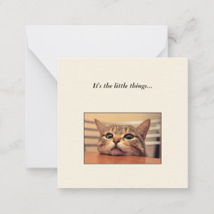 Funny Cat Mini Thank You Note Card