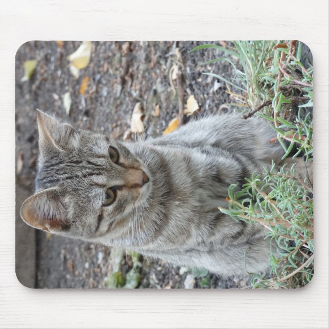 Funny Cat Mouse Pad (Front)