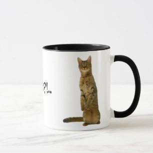 Funny Cat Mug