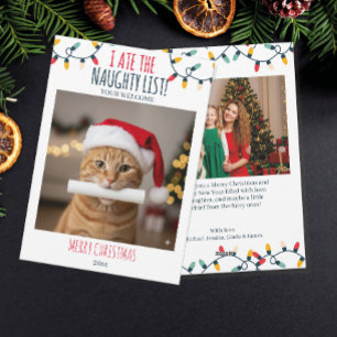 Funny Cat Naughty List Custom Christmas Photo Holiday Card