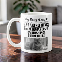 Funny Cat Newspaper Breaking News Photo