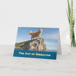 Funny Cat of Gibraltar Card