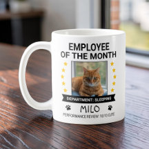 Funny Cat Office Humour Employee of The Month Phot