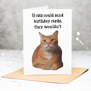Funny Cat Pet Birthday Greeting Card