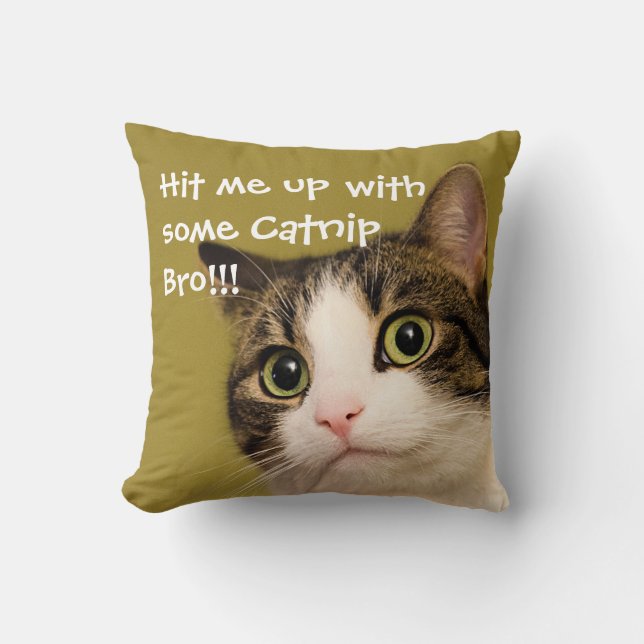 Funny Cat Photo Catnip Caption Cushion (Front)