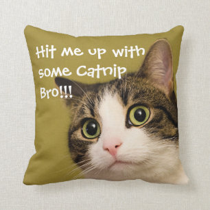 Funny Cat Photo Catnip Caption Cushion