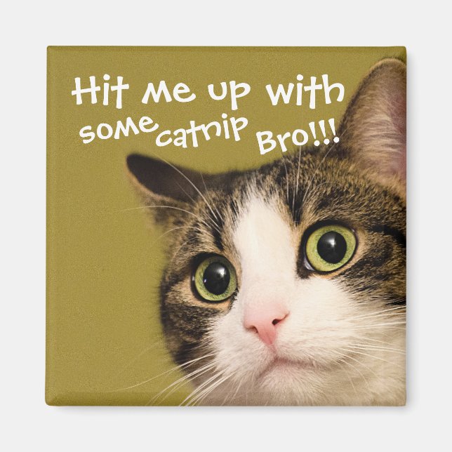 Funny Cat Photo Catnip Caption Magnet (Front)