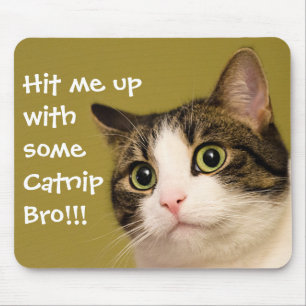 Funny Cat Photo Catnip Caption Mouse Pad