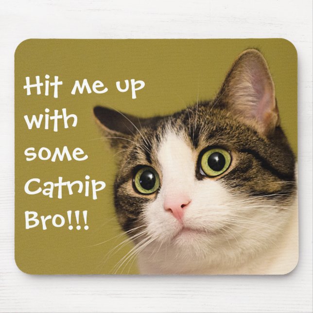 Funny Cat Photo Catnip Caption Mouse Pad (Front)